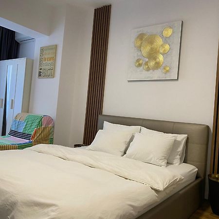 Central Studio Bucharest بوخارست المظهر الخارجي الصورة